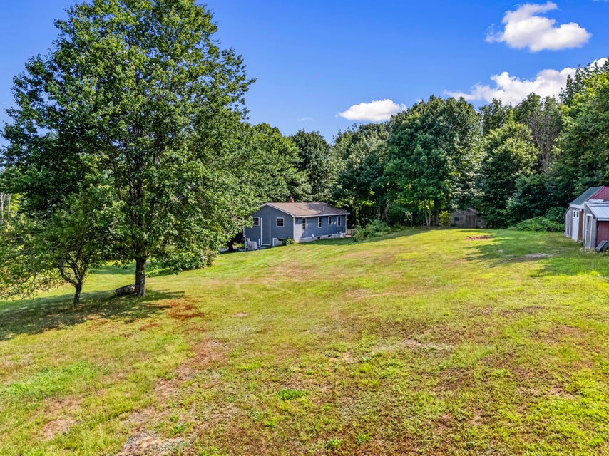 Open lawn and surrounding trees at 598 Cape Road